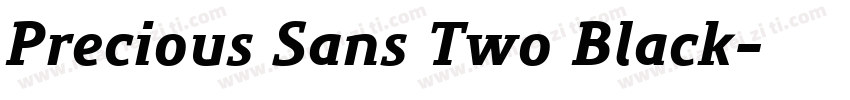 Precious Sans Two Black字体转换
